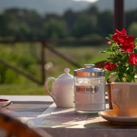Holiday home Il Montagnolo